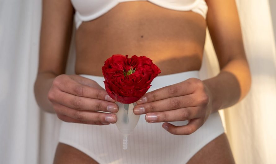 Culotte menstruelle : une révolution silencieuse dans les protections hygiéniques