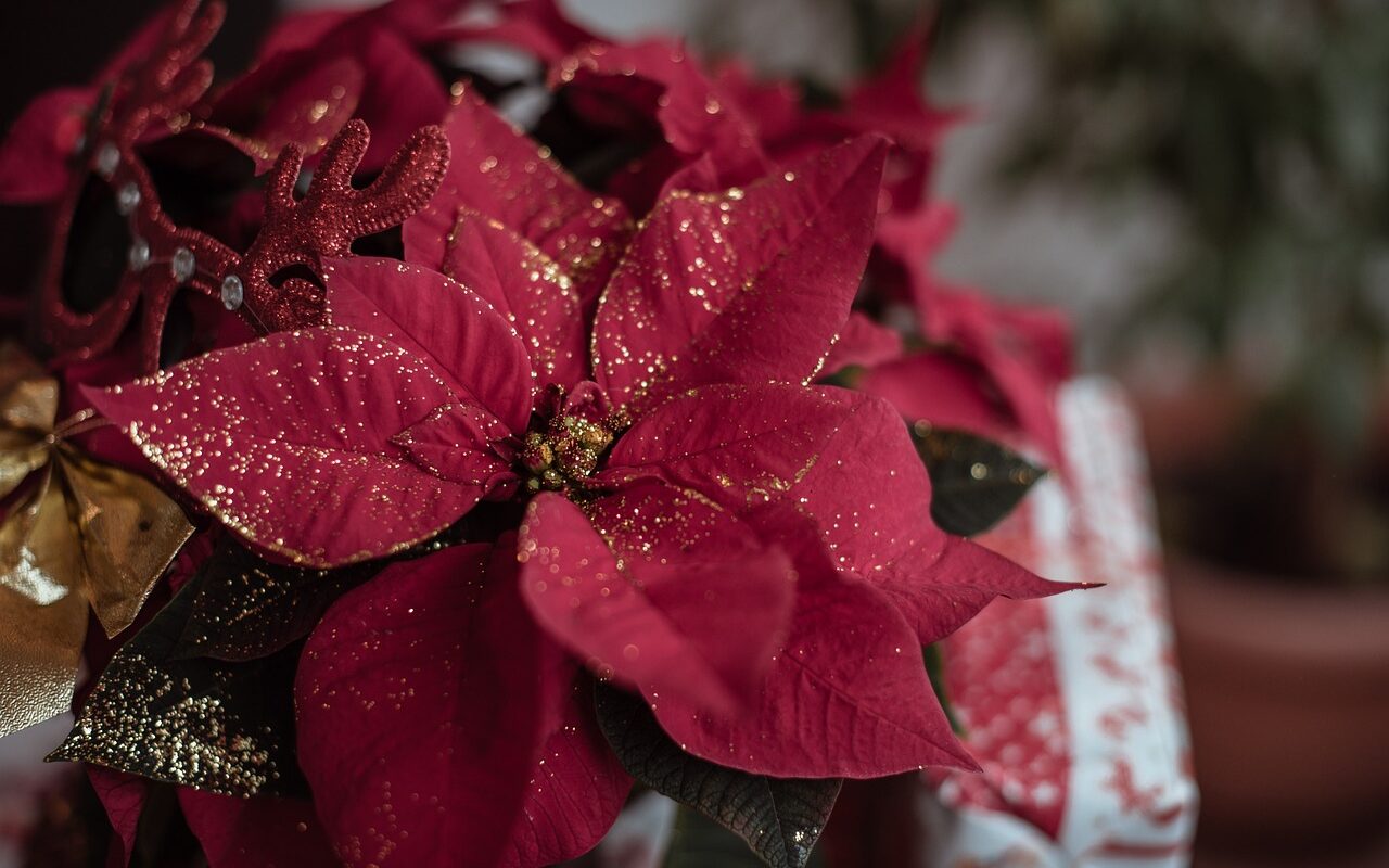 découvrez des idées de décoration de noël rustique qui apporteront chaleur et charme à votre intérieur. des inspirations naturelles, des matériaux en bois et des touches de vintage pour un noël authentique et convivial.