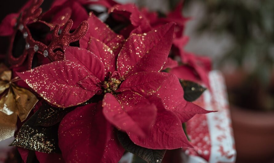 Idées de décoration de Noël pour un style rustique et authentique